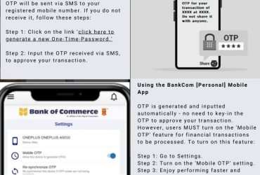 Multi-Factor Authentication (MFA) Guide